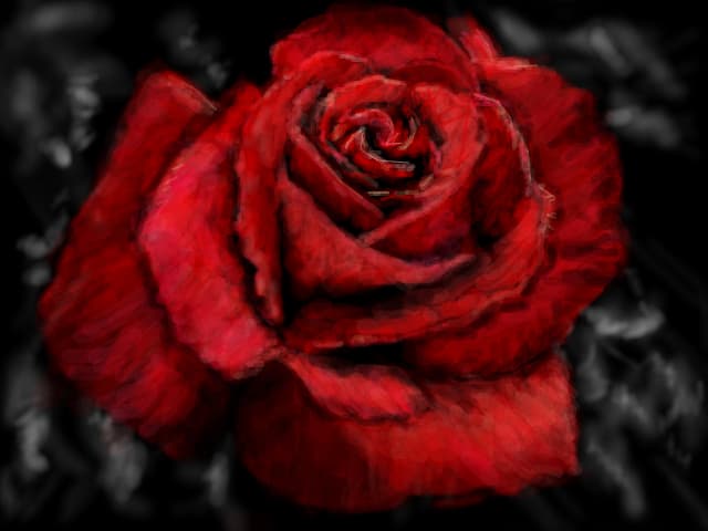 A rose..