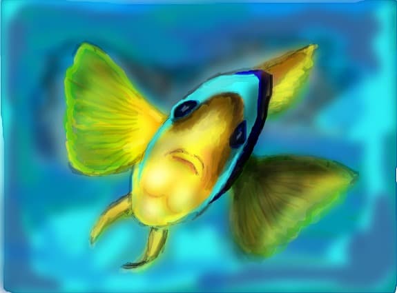Peste anemona din Marea Rosie