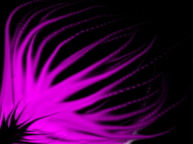 love pink
