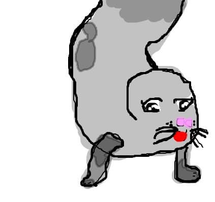 Foca