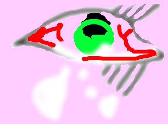 ochi