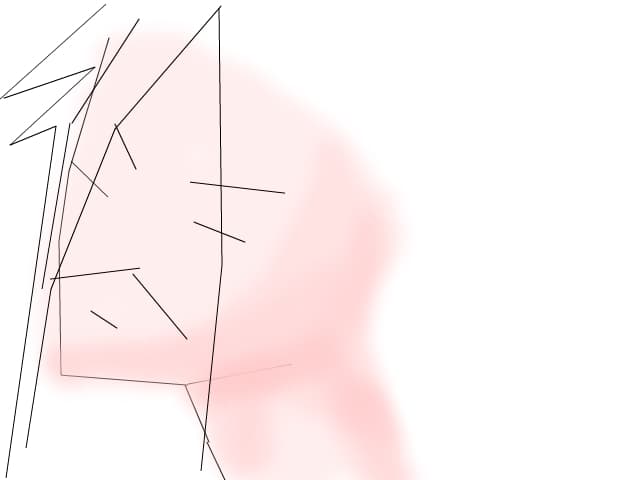 sss