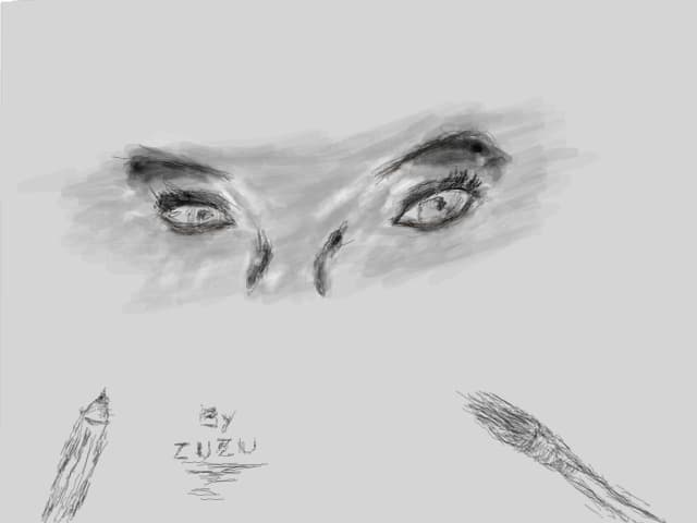 Pictura by Zuzu