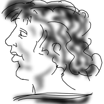 david