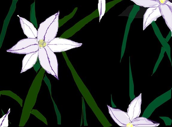 flori