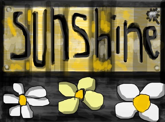 pt.sunshine*