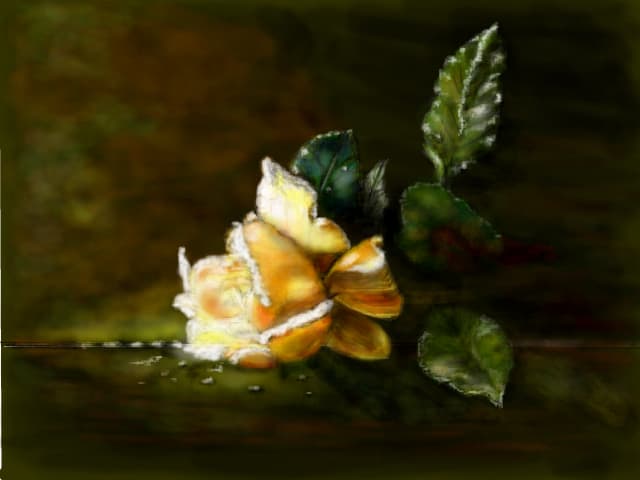 still life