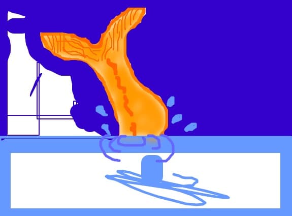 Coada de sirena