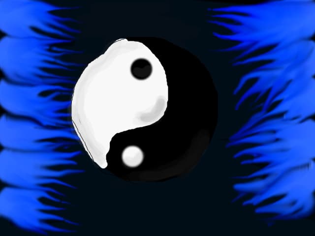 ying s yang