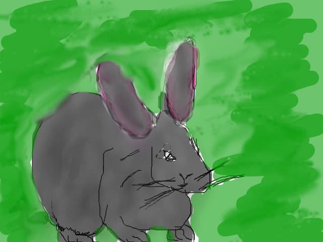 sweety rabbit