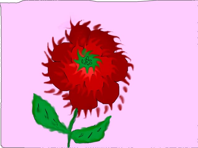 Floare