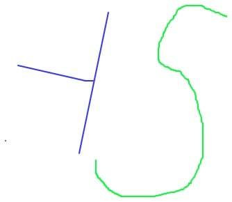 Homo Sapiens