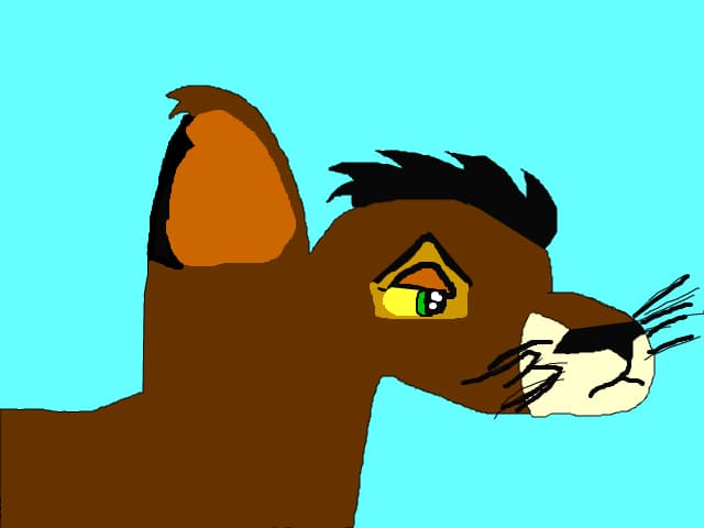 Scar/Taka