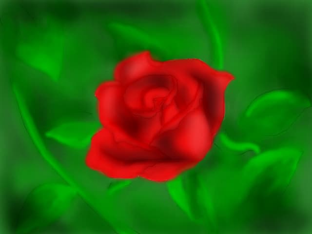 another rose