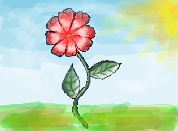 o floricica