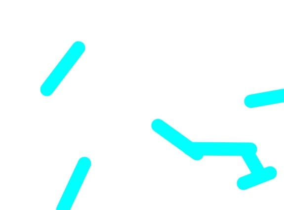 carapace
