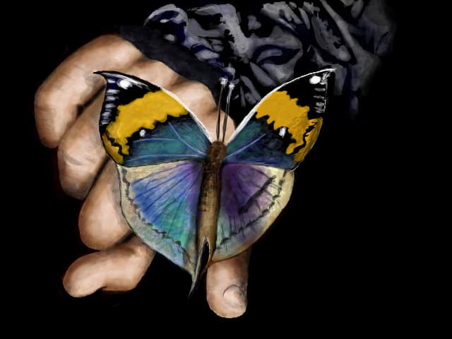 fluturas