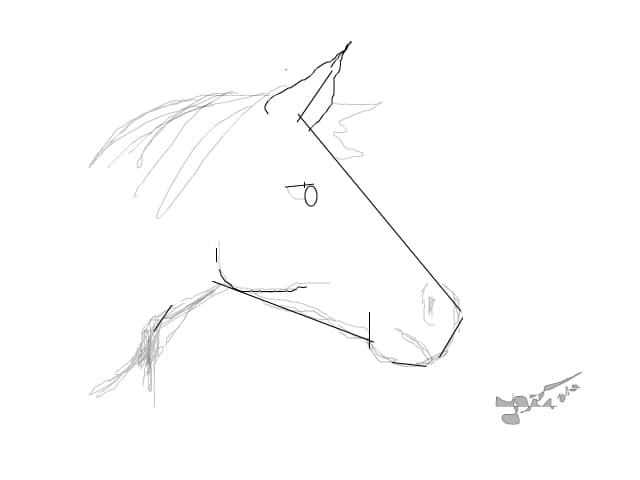 Horse