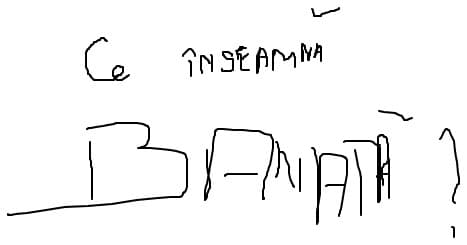 ce inseamna banata?