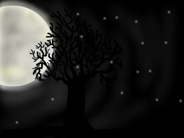 Silent tree  in Silet NighT!