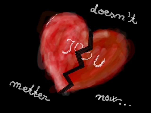 broken heart...but hwo cares...