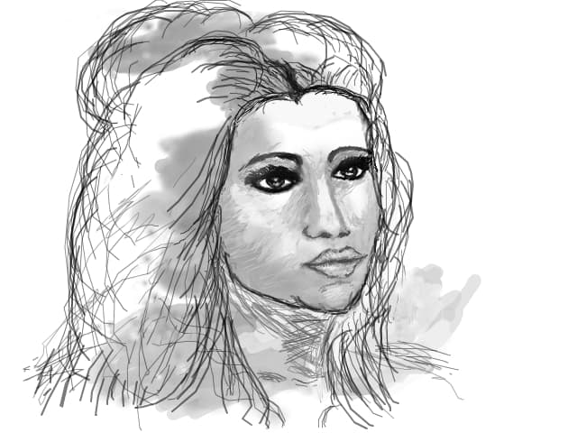 schita