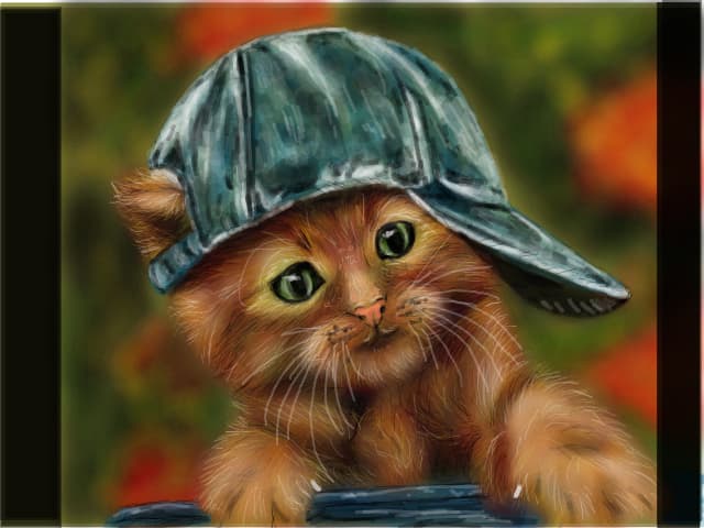 hip-hop kitty