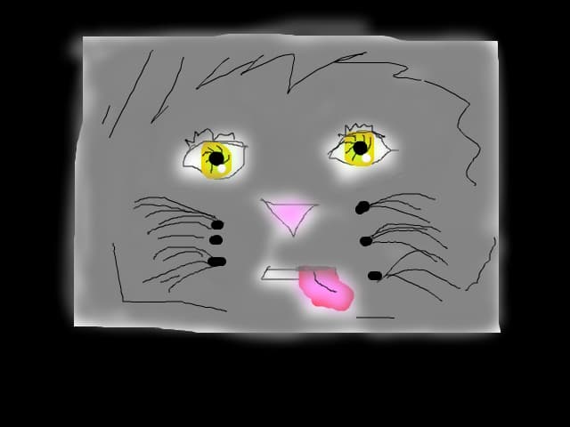 MIAU