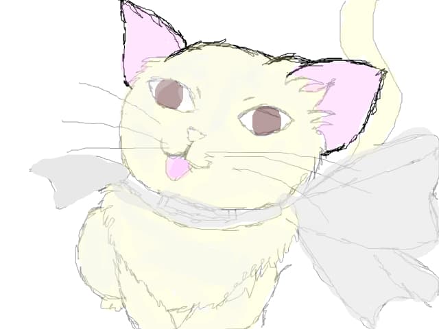 kitty