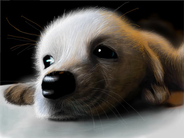 cute puppy ^^  mrg... stiu ca e cam nashpa :)) [ nu am mai desenat pana acum un animal O.o ]