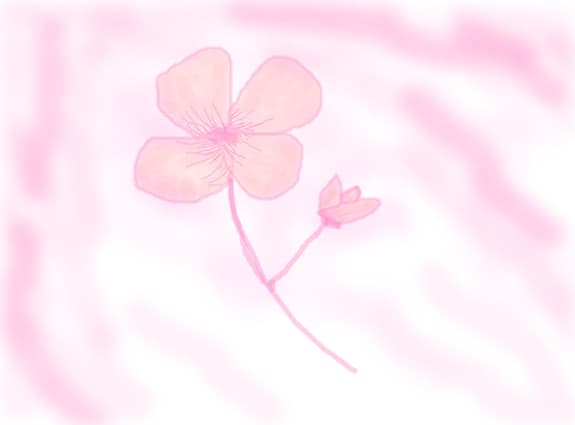 Delicate flower