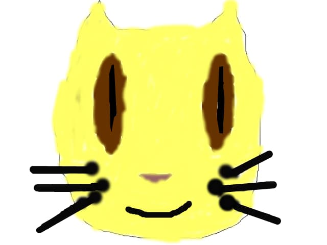 kitty