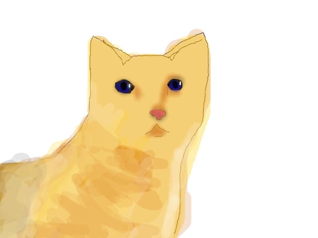 kitty