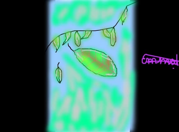 Leaf