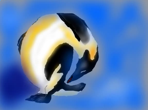 pinguin