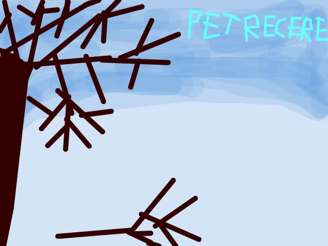 petrecere