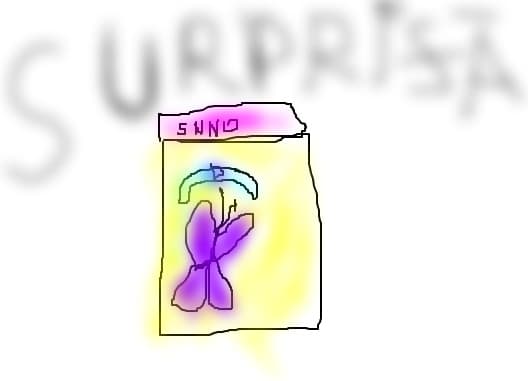 surprize