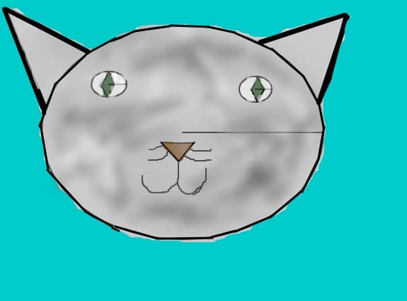 Kitty Head