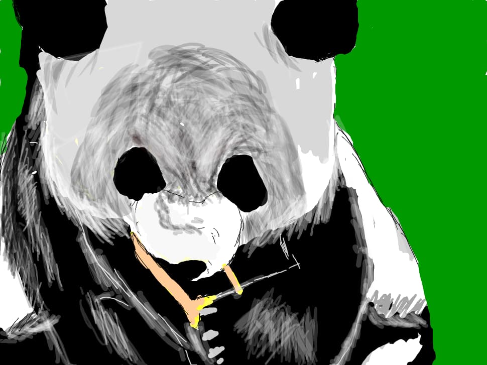 panda bear