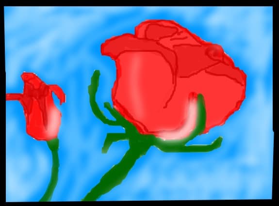rose
