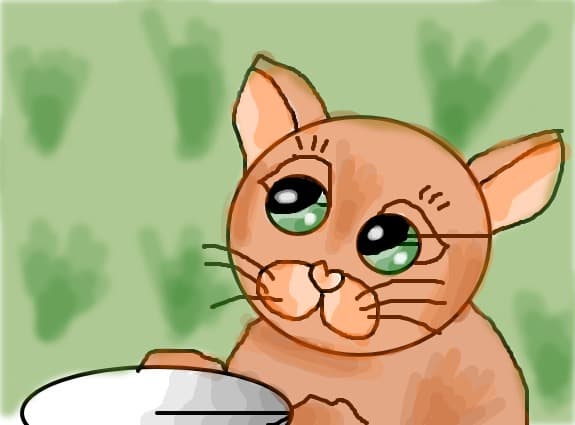 kitty