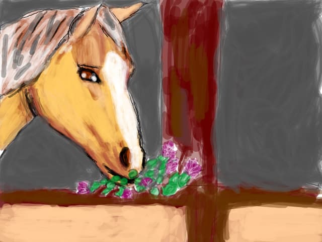 horse