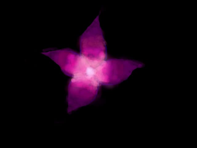 mauve flamme