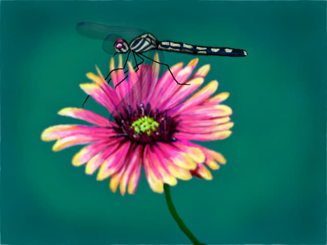 Dragonfly and Flower