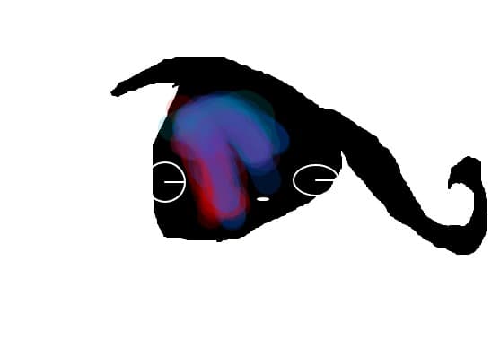 the eye