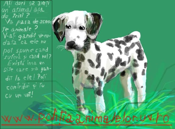 www.politiaanimalelor.uv.ro