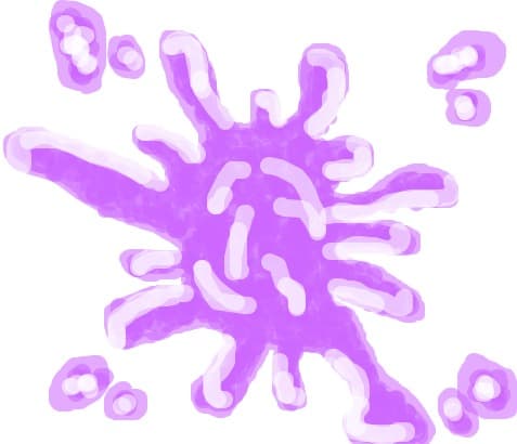 Pink-Purple!