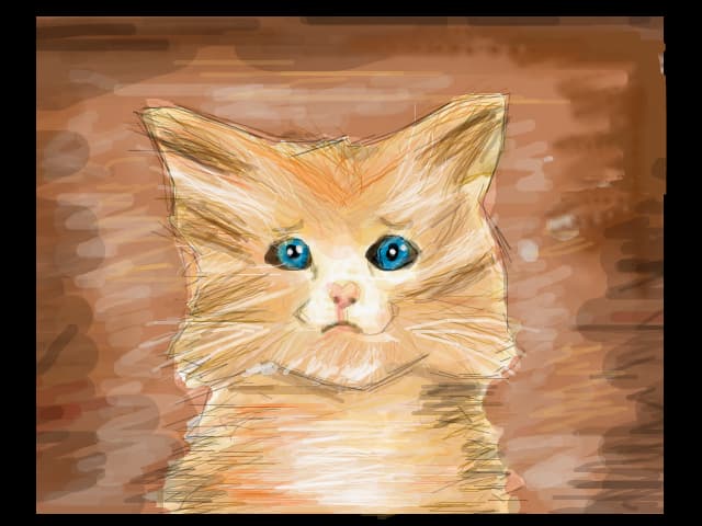 sad kitty:D