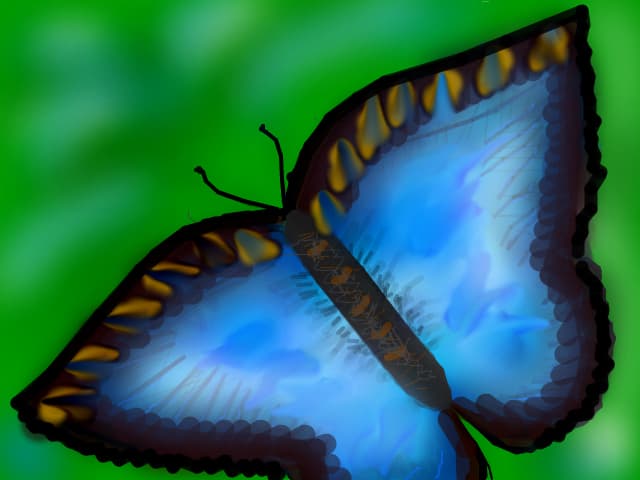 fluture