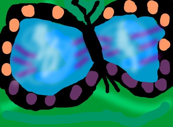 fluture
